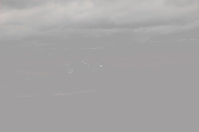 DSC_0253.JPG